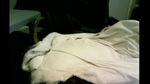 bimale4hotphuk online show from February 20, 2025, 9:44 am