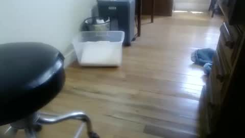 Snapshot of bitexan69 chatting on September 30, 2025, 5:07 pm bitexan69 online show from September 30, 2025, 5:07 pm