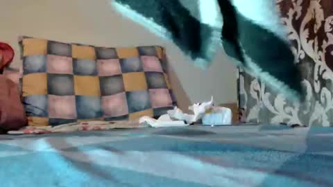 Snapshot of bivolarut30 chatting on March 10, 2025, 9:07 pm if you love pussy give 1 token - im a poor girl any token counts-my shop video pussy virgina hairy pussy 1 token online show from March 10, 2025, 9:07 pm