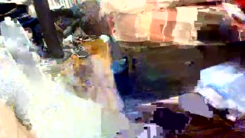 bjlonely7 online show from May 14, 2026, 4:36 pm