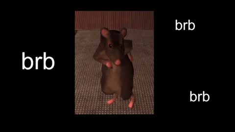 Snapshot of black_kittie_01 chatting on January 31, 2025, 1:12 pm Black Kittie Wednesday - 1300 - 1900 GMT help me get 100 thumbs up online show from January 31, 2025, 1:12 pm