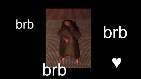 Snapshot of black_kittie_01 chatting on September 9, 2025, 12:15 pm Black Kittie Wednesday - 1300 - 1900 GMT help me get 100 thumbs up online show from September 9, 2025, 12:15 pm