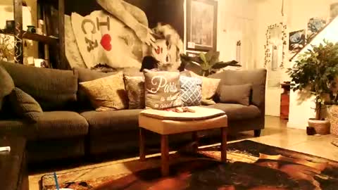 blackriches96 online show from February 14, 2026, 8:33 am