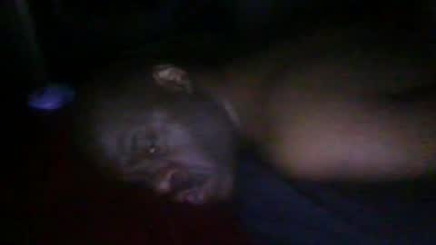 Snapshot of blackteddybear chatting on February 19, 2026, 6:20 am blackteddybear online show from February 19, 2026, 6:20 am