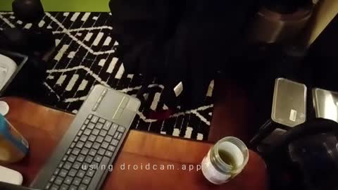 Blackjag00 online show from February 13, 2025, 10:12 am