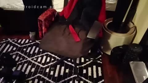 Blackjag00 online show from February 23, 2025, 10:06 am