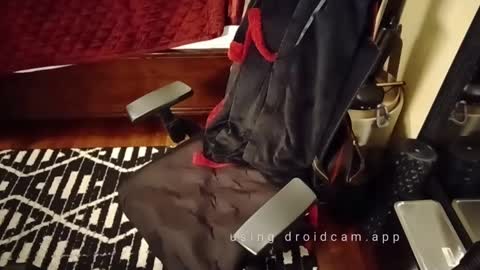 Blackjag00 online show from March 3, 2025, 9:22 am