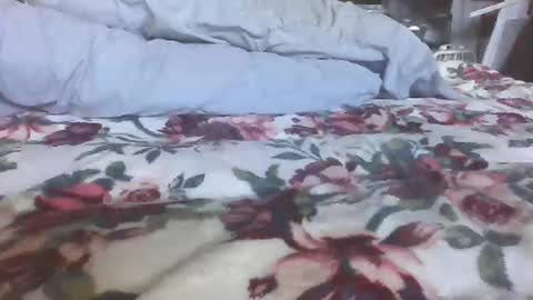 Snapshot of blame1269 chatting on October 27, 2025, 7:07 pm blame1269 online show from October 27, 2025, 7:07 pm