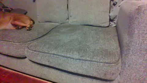 Snapshot of blaw_1321 chatting on September 29, 2025, 4:50 am blaw_1321 online show from September 29, 2025, 4:50 am