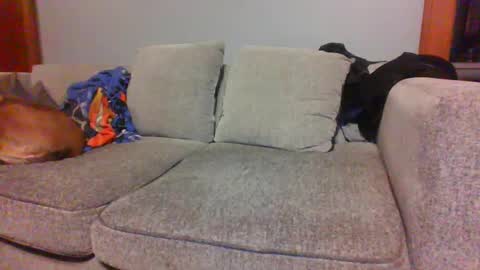 Snapshot of blaw_1321 chatting on October 4, 2025, 6:22 am blaw_1321 online show from October 4, 2025, 6:22 am