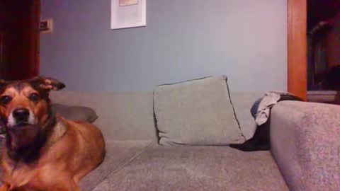 Snapshot of blaw_1321 chatting on October 16, 2025, 7:20 am blaw_1321 online show from October 16, 2025, 7:20 am