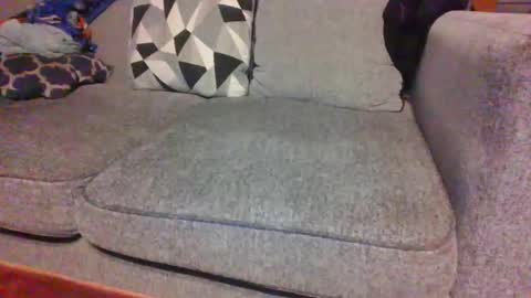 Snapshot of blaw_1321 chatting on November 5, 2025, 8:47 am blaw_1321 online show from November 5, 2025, 8:47 am