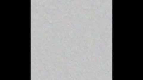 Snapshot of bliis_ chatting on February 27, 2026, 12:16 pm Billie online show from February 27, 2026, 12:16 pm