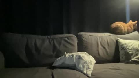 BlIdoL online show from November 24, 2025, 6:46 am