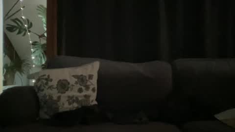 BlIdoL online show from December 18, 2025, 9:04 am