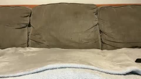 Snapshot of blondiedicks1 chatting on September 16, 2025, 1:12 pm blondiedicks1 online show from September 16, 2025, 1:12 pm