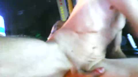 Snapshot of bmurray13kc2 chatting on October 10, 2025, 8:46 am bmurray13kc2 online show from October 10, 2025, 8:46 am