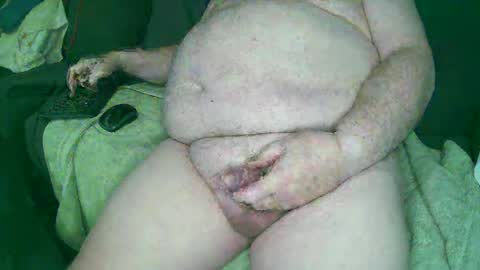 bobandkitty online show from February 9, 2025, 2:17 am