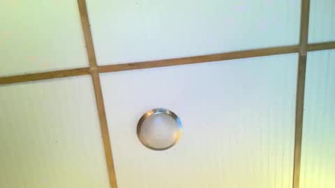 Snapshot of bodacioustits chatting on November 2, 2025, 7:22 am bodacioustits online show from November 2, 2025, 7:22 am