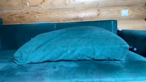 Snapshot of bohemianrhapsody1 chatting on October 21, 2025, 9:10 am Nail and Olivia online show from October 21, 2025, 9:10 am