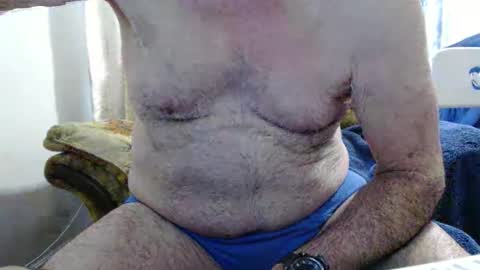 bolbil1 online show from February 5, 2026, 2:00 pm