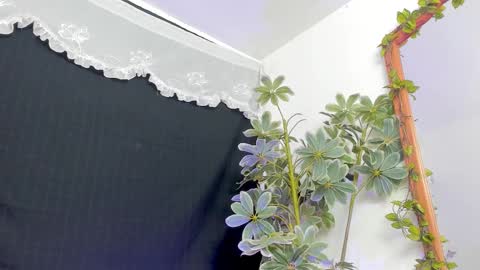   online show from March 21, 2026, 12:15 am