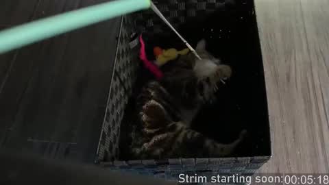 Booker Baxton online show from October 4, 2025, 3:04 am