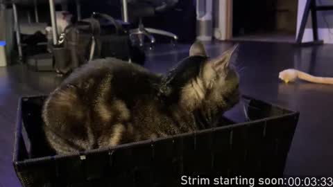 Booker Baxton online show from October 11, 2025, 3:06 am