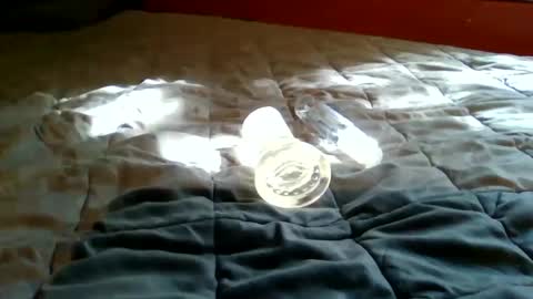 Snapshot of bootsy997 chatting on September 22, 2025, 7:49 pm Bootsy online show from September 22, 2025, 7:49 pm