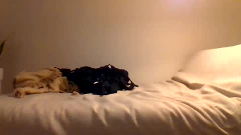 Snapshot of booty4pegging chatting on March 3, 2025, 5:39 pm booty4pegging online show from March 3, 2025, 5:39 pm