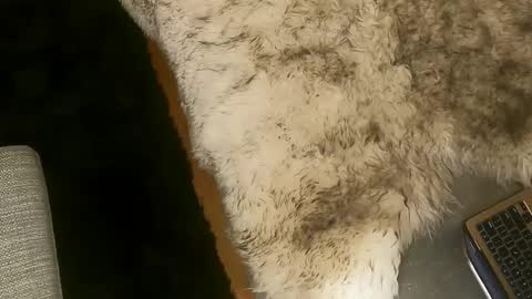 Snapshot of booty_andthe_beast chatting on March 7, 2025, 2:25 am Kim and Kooper online show from March 7, 2025, 2:25 am