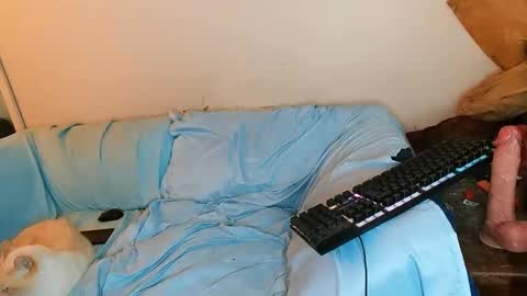 Snapshot of boredandirish21 chatting on October 4, 2025, 4:49 pm boredandirish21 online show from October 4, 2025, 4:49 pm