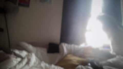 Snapshot of borkaa777 chatting on June 20, 2026, 10:07 am borkaa777 online show from June 20, 2026, 10:07 am