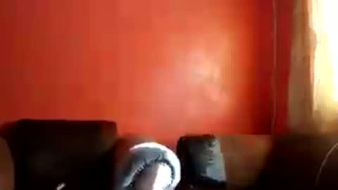 botsougaba online show from July 27, 2026, 7:48 am