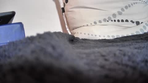 Snapshot of boy3911 chatting on February 11, 2025, 5:40 pm boy3911 online show from February 11, 2025, 5:40 pm