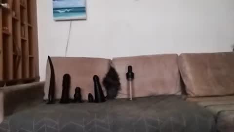 Snapshot of boy7oyy chatting on January 31, 2025, 7:29 pm Bes7assquirt online show from January 31, 2025, 7:29 pm