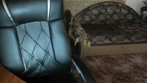 Snapshot of boyapollon chatting on December 23, 2024, 7:38 am BoyApollon online show from December 23, 2024, 7:38 am