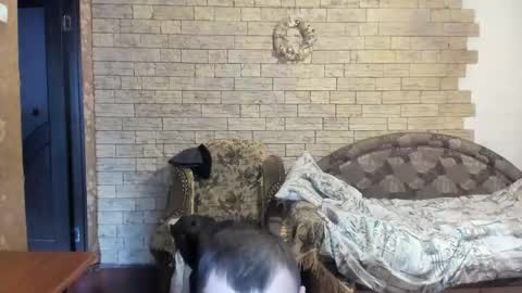 Snapshot of boyapollon chatting on December 24, 2024, 12:11 pm BoyApollon online show from December 24, 2024, 12:11 pm