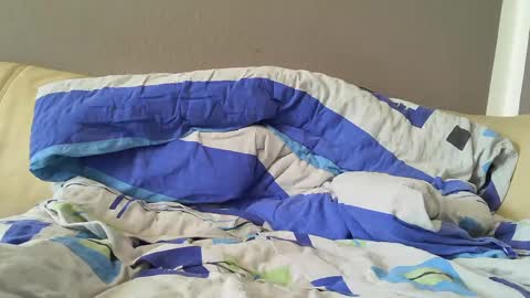 Snapshot of bramer8787 chatting on February 1, 2025, 9:00 am bramer8787 online show from February 1, 2025, 9:00 am