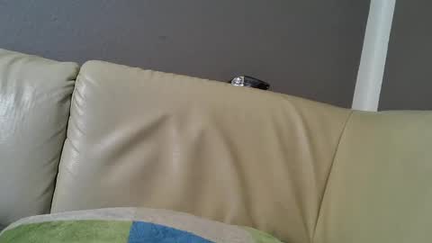 Snapshot of bramer8787 chatting on February 9, 2025, 5:29 am bramer8787 online show from February 9, 2025, 5:29 am