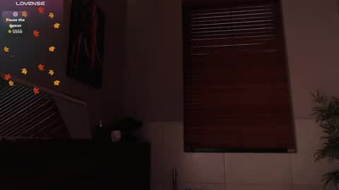 brandon_starkk online show from February 23, 2026, 11:51 am