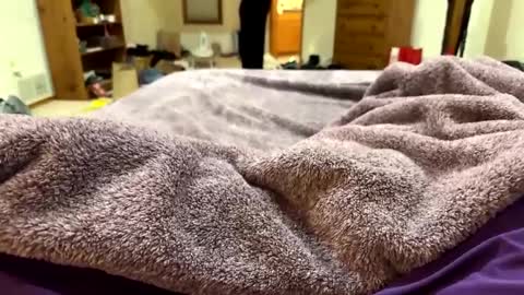 Snapshot of brandondot chatting on December 16, 2024, 7:26 am brandondot online show from December 16, 2024, 7:26 am