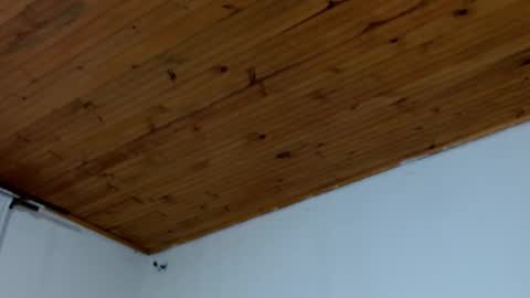 Snapshot of brandonstond chatting on March 16, 2026, 12:17 am Brandon online show from March 16, 2026, 12:17 am