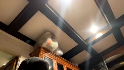 bravo323 online show from October 2, 2025, 6:26 pm