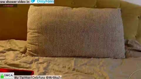 Snapshot of brell_line chatting on February 23, 2026, 6:49 pm Brelland online show from February 23, 2026, 6:49 pm