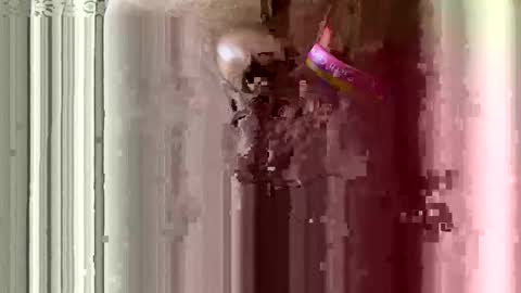 Snapshot of brewfan65 chatting on October 24, 2025, 8:49 pm brewfan65 online show from October 24, 2025, 8:49 pm