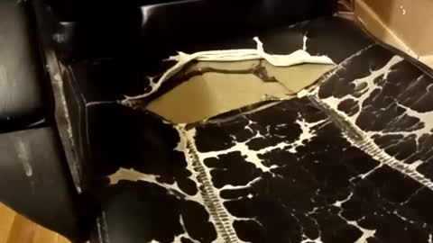 BB online show from December 14, 2025, 1:33 am