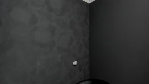 Snapshot of brianhunts chatting on January 11, 2025, 4:03 pm Brian online show from January 11, 2025, 4:03 pm