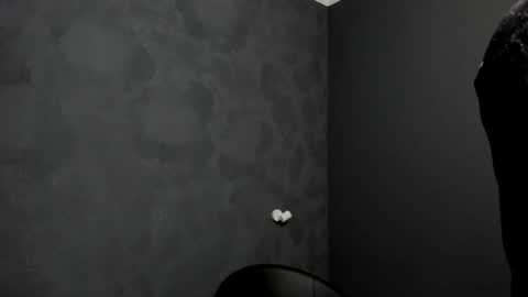 Snapshot of brianhunts chatting on January 20, 2025, 6:42 am Brian online show from January 20, 2025, 6:42 am