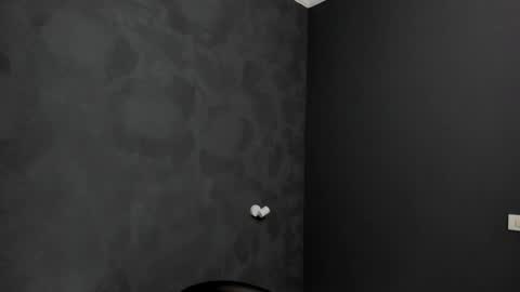 Snapshot of brianhunts chatting on January 23, 2025, 5:45 am Brian online show from January 23, 2025, 5:45 am